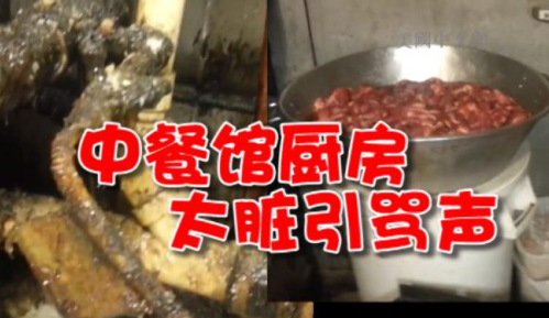 (美国中文网)