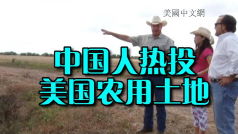 (美国中文网)