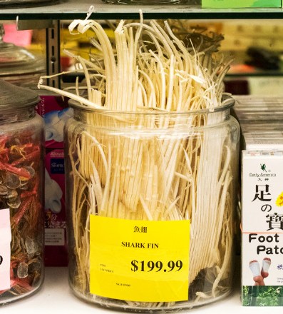 中国侨网-美媒:纽约禁吃鱼翅中餐馆改卖海参 便