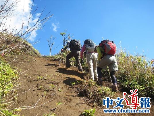 鹿留山登山者。(日本《中文导报》)