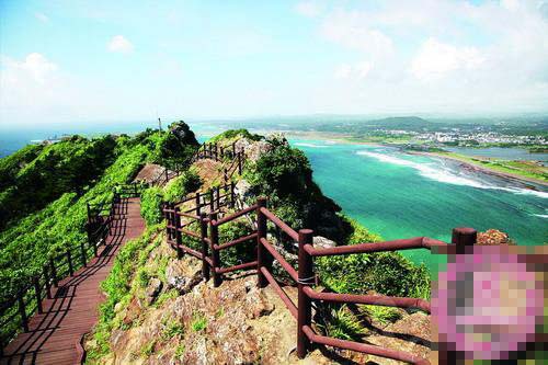 济州岛。(参考消息援引自资料图片)