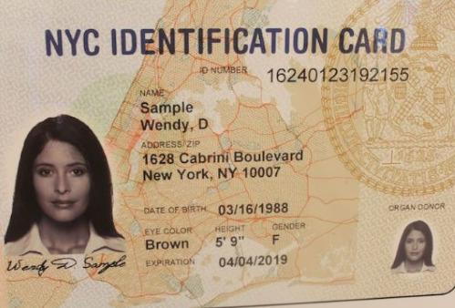纽约市民卡样本。（美国《世界日报》档案照）