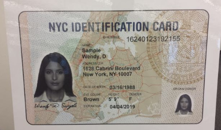 纽约市民卡样本。（美国《世界日报》档案照）