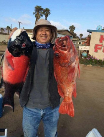 由于加州渔猎局禁止2月底前进行石斑鱼海钓活动,不少喜欢海钓的人转而前往墨西哥海钓。(肖强提供)