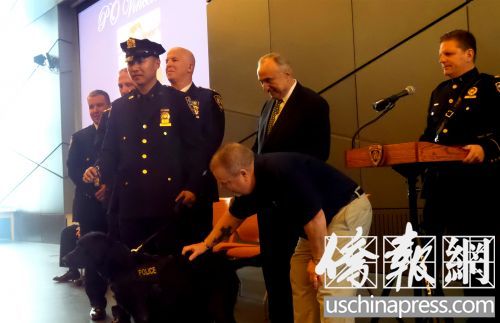 警探刘鹤生和他的警犬Vin接受毕业证书。（美国《侨报》/宋旸