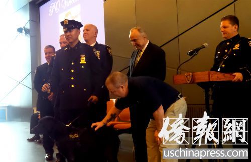 警探刘鹤生和他的警犬Vin接受毕业证书。(美国《侨报》/宋旸