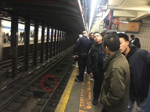 醉汉在华埠地铁调戏华裔妇女，满脸鲜血地在月台追逐乘客，企图推人落轨。圆圈处为见义勇为的法国青年的背包被该醉汉在混乱中扔到铁轨上。(美国《世界日报》/高梦梓