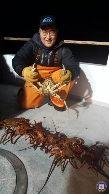 虽然返回岸上都已经是深夜,李一博看到网内的龙虾大丰收,辛劳烟消云散。(美国《世界日报》)