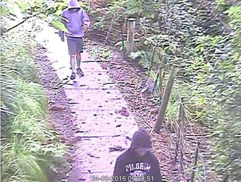 步道位置监控录像截图。（新西兰天维网）