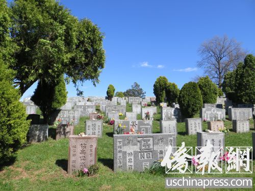 位于纽约皇后区格兰黛尔的柏山墓园有许多华人的墓地碑牌。(美国《侨报》/王伊琳
