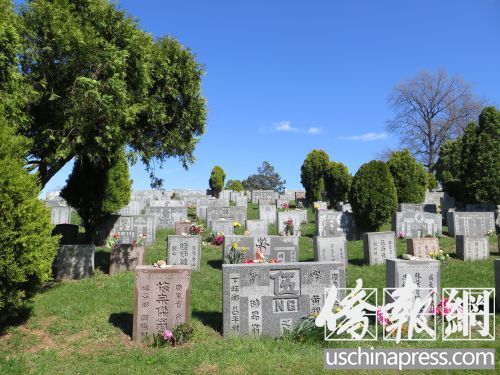 位于纽约皇后区格兰黛尔的柏山墓园有许多华人的墓地碑牌。(美国《侨报》/王伊琳