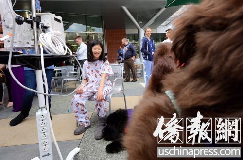 丝姓女童在与治疗犬互动,脸上绽出微笑。(美国《侨报》/邱晨