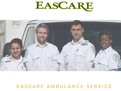 Eascare公司网站截图。(美国中文网)