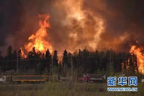 加拿大艾伯塔省境内发生的森林大火5日继续蔓延。新华网发