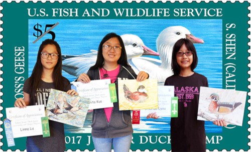2016美国联邦少年鸭子邮票艺术大赛，佛州竞赛部分获奖华裔学生合影，左起：卢丽娜、郭芷瑄、刘安语。(美国《世界日报》)