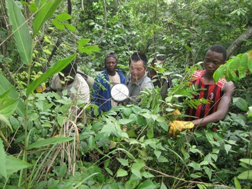 中方施工人员在马永贝原始森林勘探中。