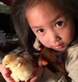 孩子们看着鸡从幼雏长大，彷佛上了一堂自然课。