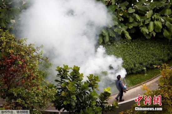 当地时间8月28日,新加坡大规模喷洒药水,防范寨卡病例蔓延。