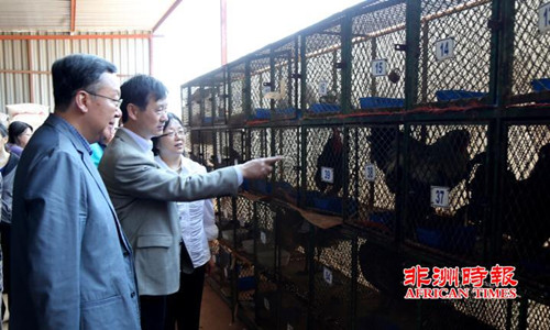 田学军大使（左一）一行走访当地农贸市场。（《非洲时报》）
