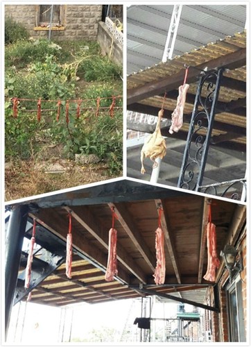 白石镇华人在阳台晒腊肉及风鸡被邻居强烈投诉，恐引来老鼠和苍蝇。(美国《世界日报》/Eugene