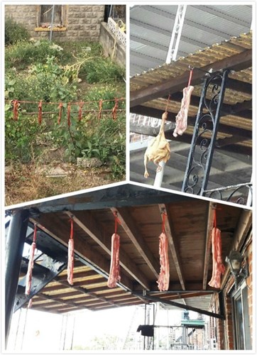 白石镇华人在阳台晒腊肉及风鸡被邻居强烈投诉,恐引来老鼠和苍蝇。(美国《世界日报》/Eugene
