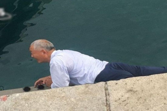 网络配图