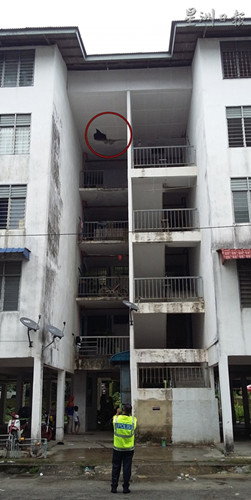 小柔失足踩破屋瓦,再穿过天花板(红色圆圈),从5楼直坠底层。(马来西亚《星洲日报》)