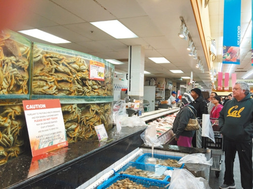 邓金斯蟹最近上市，不少市民忙着抢购。（美国《世界日报》/刘先进