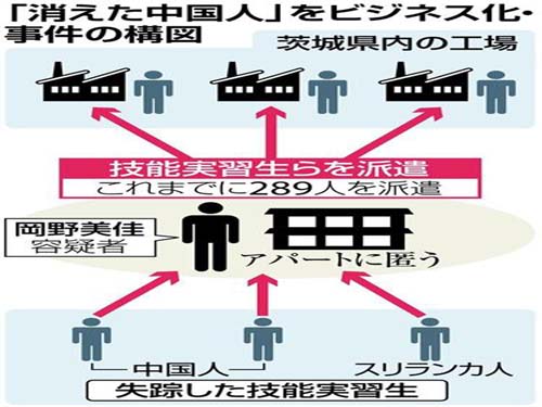 中国侨网