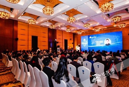 中国侨网海外投资移民专家齐聚重庆。记者 周晓雪 摄