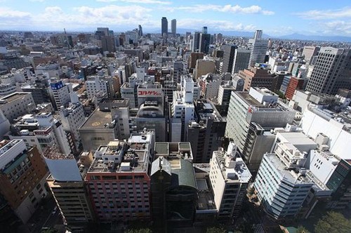 中国侨网(日本新华侨报网)