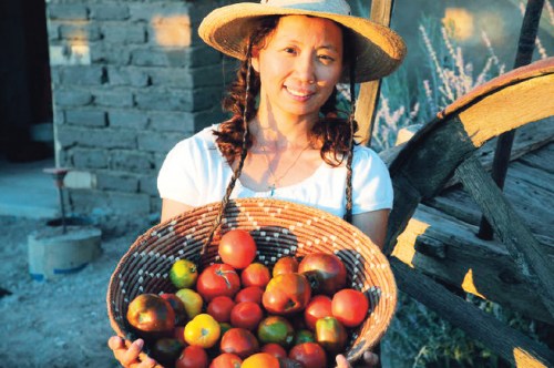 中国侨网番茄大丰收，敏芝非常开心。 (美国《侨报》/敏芝供图）