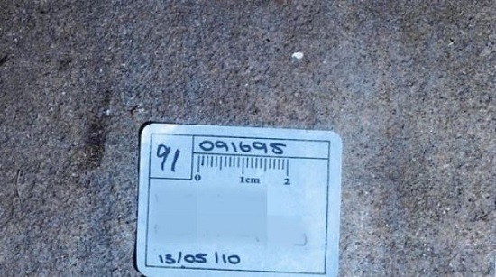 中国侨网车库窗下的一小块污渍极不起眼,却是破案关键。(《悉尼先驱晨报》)