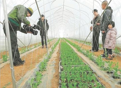 中国侨网(日本新华侨报网)