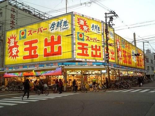 中国侨网(日本《中文导报》)