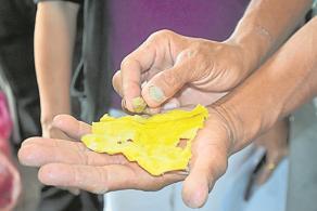 中国侨网一粒石头值3000令吉,王金泉事后在友人提醒下,才知上当了。(马来西亚《光明日报》)