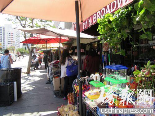 中国侨网洛杉矶中国城主要街道百老汇街上不少商铺都在卖小乌龟。（美国《侨报》/翁羽 摄）