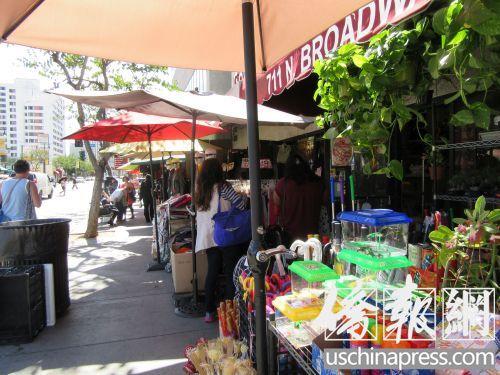 中国侨网洛杉矶中国城主要街道百老汇街上不少商铺都在卖小乌龟。(美国《侨报》/翁羽 摄)