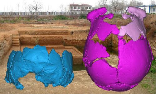中国侨网河南许昌发现的两个人头骨的3D复原图片。新华社发