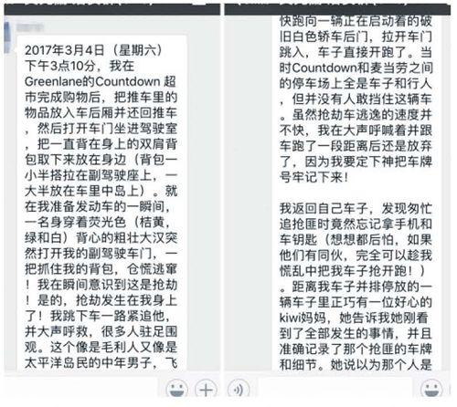 中国侨网(新西兰先驱报中文网)