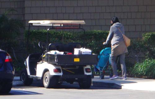 中国侨网刚生产不久的中国母亲推着婴儿车散步。（美国《侨报》/高睿 摄）