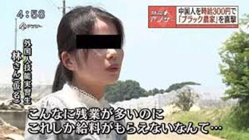 中国侨网资料图。(日本新华侨报网)