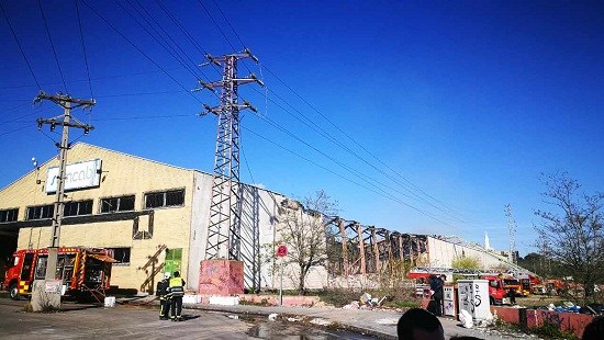 中国侨网(《欧华报》图片)