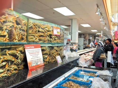 中国侨网吴娟娟平常喜欢在超市买海鲜吃，日前一时兴起和朋友抓海鲜，结果违规被罚款。(美国《世界日报》/刘先进 摄)