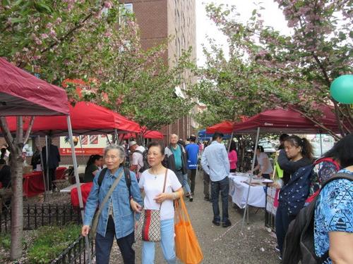 中国侨网连日来的降雨，形成“树叶比花多”的景象。(美国《世界日报》/颜嘉莹 摄)