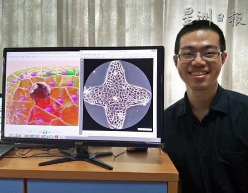 中国侨网苏团民的研究，可用于了解上皮癌的形成和治愈。（马来西亚《星洲日报》图片）