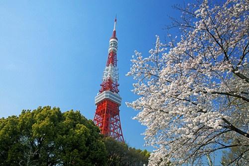 中国侨网资料图。(日本新华侨报网)