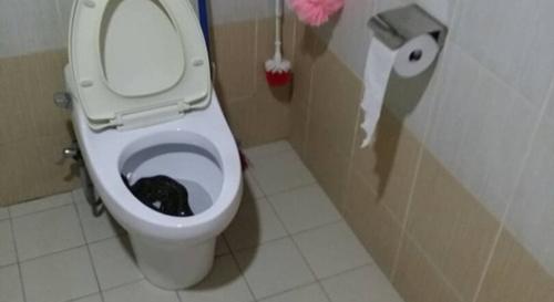中国侨网躲在马桶里的蟒蛇。(马来西亚《诗华日报》)