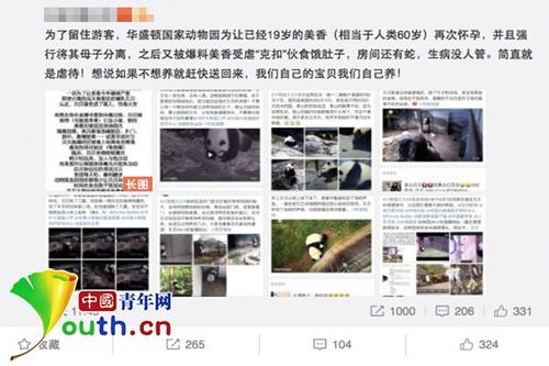 中国侨网微博上关于美香的消息受到网友关注。