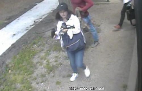 中国侨网伊利诺大学警察局发布的监视录像显示，失踪的中国女访问学生章莹颖在9日下午1时35分，出现在原租住公寓前的公车站。（美国《世界日报》/伊大警局提供）